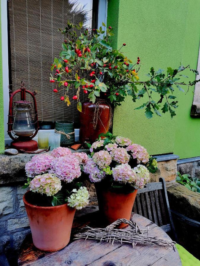 Auszeit Daire Freital Dış mekan fotoğraf